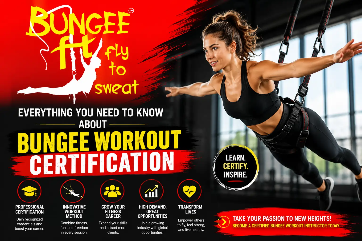 Everything You Need to Know About Bungee Workout Certification
